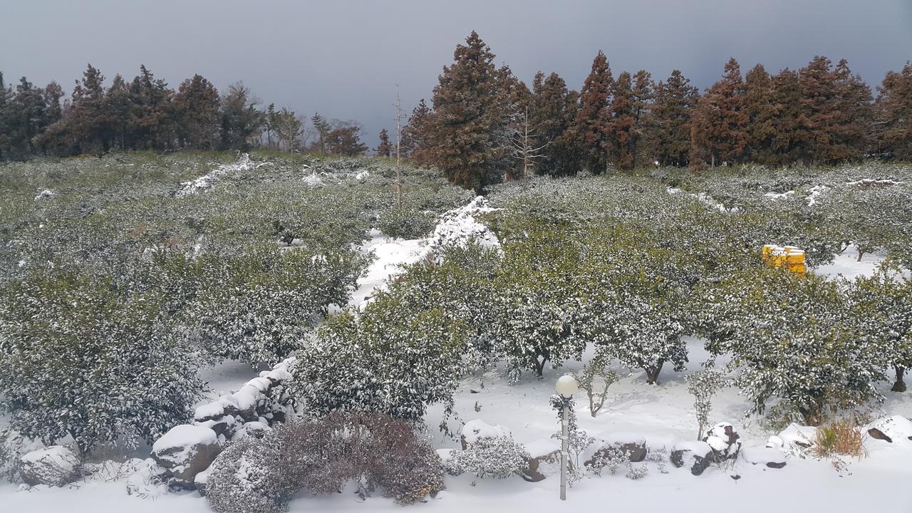 Jeju Mermuri Yerye-dong Экстерьер фото