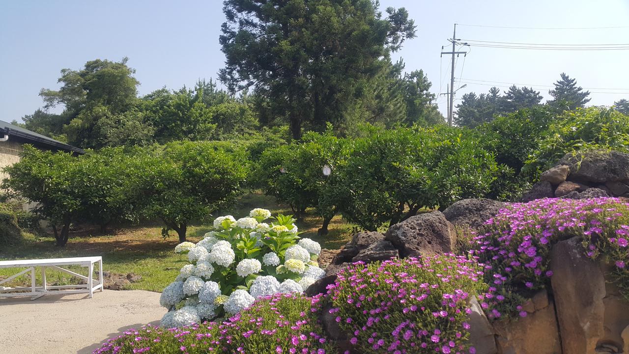 Jeju Mermuri Yerye-dong Экстерьер фото