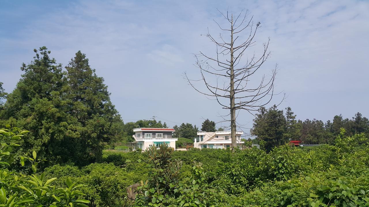 Jeju Mermuri Yerye-dong Экстерьер фото