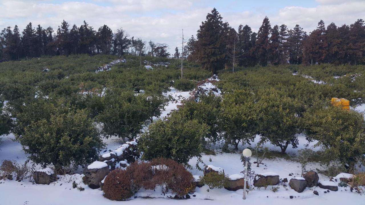 Jeju Mermuri Yerye-dong Экстерьер фото