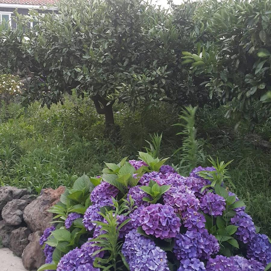 Jeju Mermuri Yerye-dong Экстерьер фото