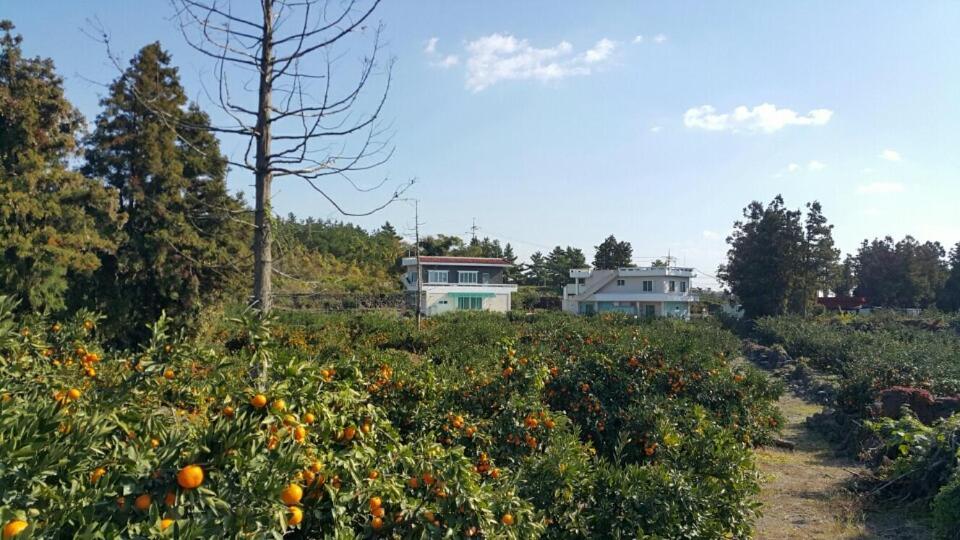 Jeju Mermuri Yerye-dong Экстерьер фото